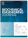 BIOCHEMICAL ENGINEERING JOURNAL封面